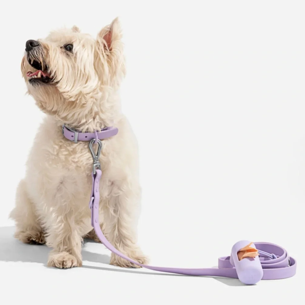 Wild One Dog Collar - S (8-12